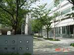 DSC02061.JPG